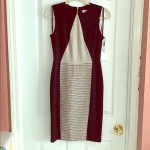 Calvin Klein Dress